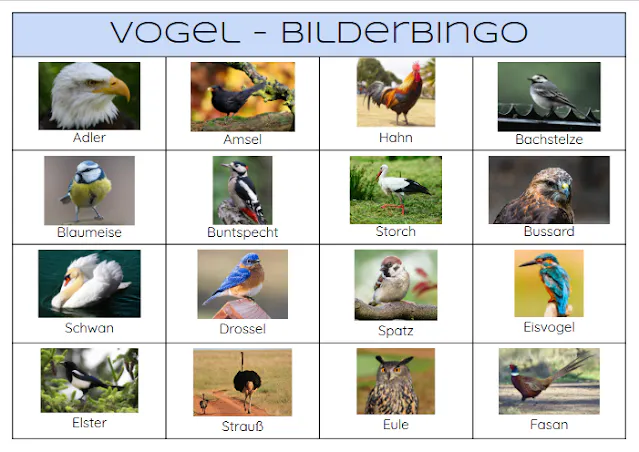 Vogel Bilder Bingo
