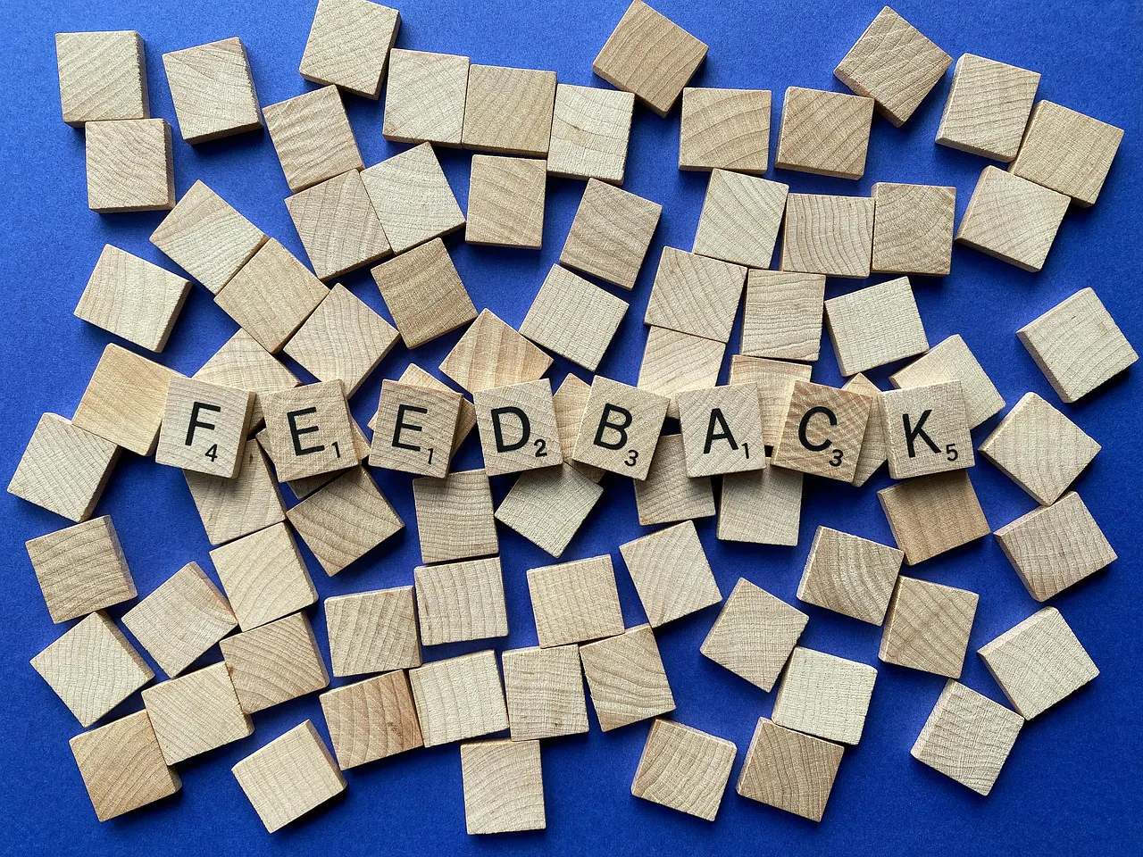Feedback, Scrabble, Wort