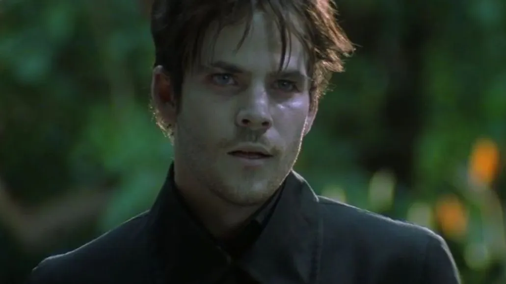 stephen dorff blade black widow marvel movies cinematic universe scarlett johansson