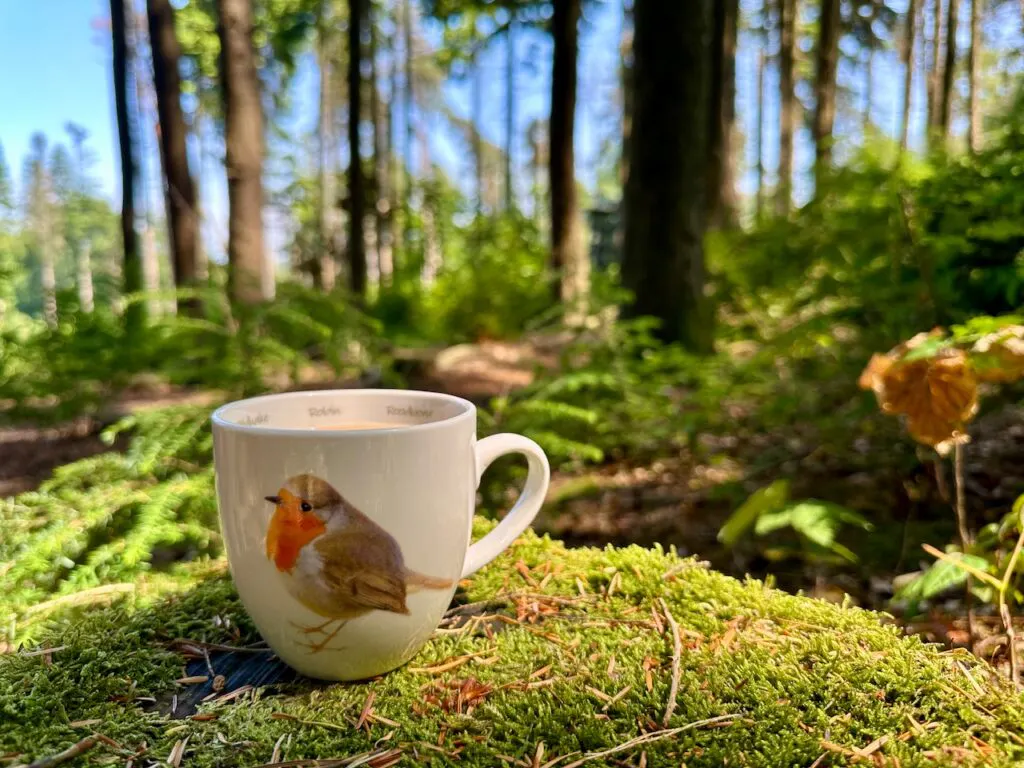Sonnenbeschienener Wald. Im Vordergrund eine Kaffeetasse mit einem Rotkehlchen drauf.