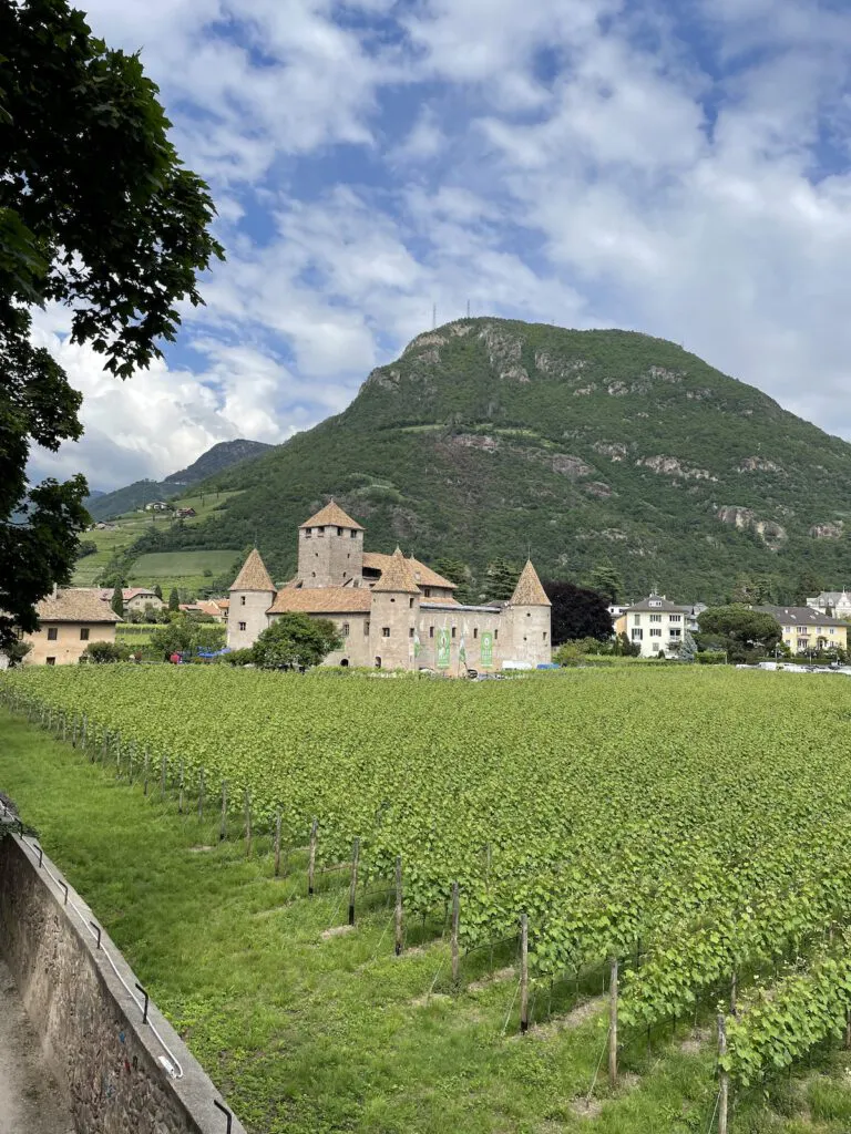 Das Schloss Maretsch. Außenansicht, umgeben von Weinreben