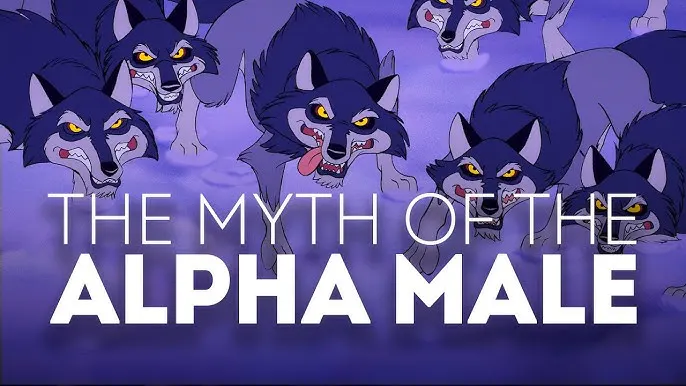 The Myth of the Alpha Male - YouTube