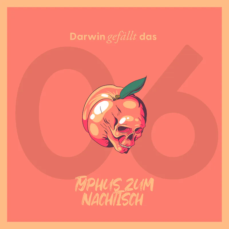 Vorschaubild mit dem Titelbild der Episode 'Typhus zum Nachtisch'.