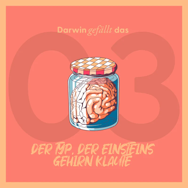 Vorschaubild mit dem Titelbild der Episode 'Der Typ, der Einsteins Gehirn klaute'.