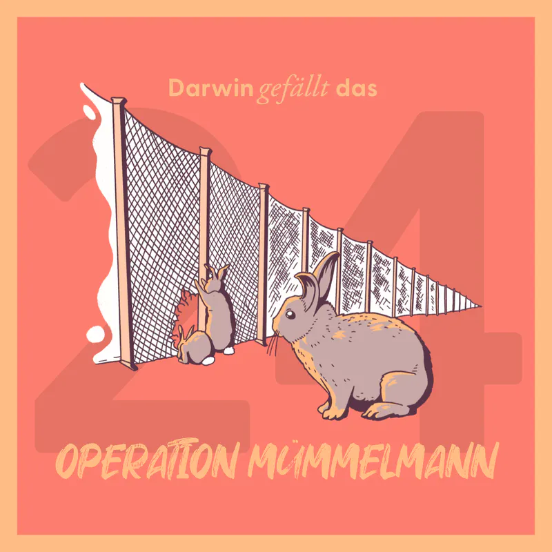 Vorschaubild mit dem Titelbild der Episode 'Operation Mümmelmann'.