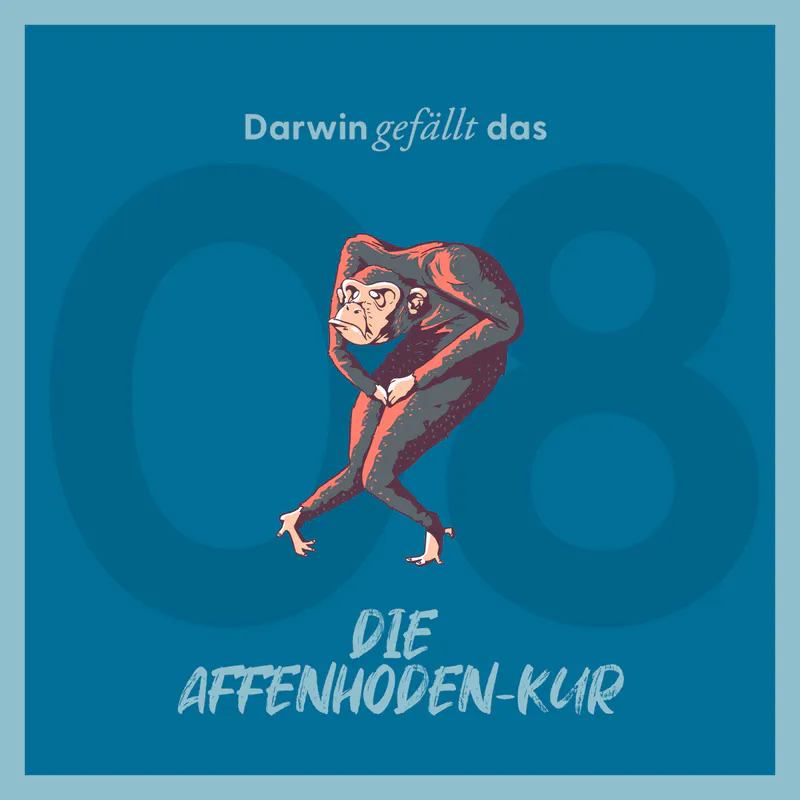 Vorschaubild mit dem Titelbild der Episode 'Die Affenhoden-Kur'.