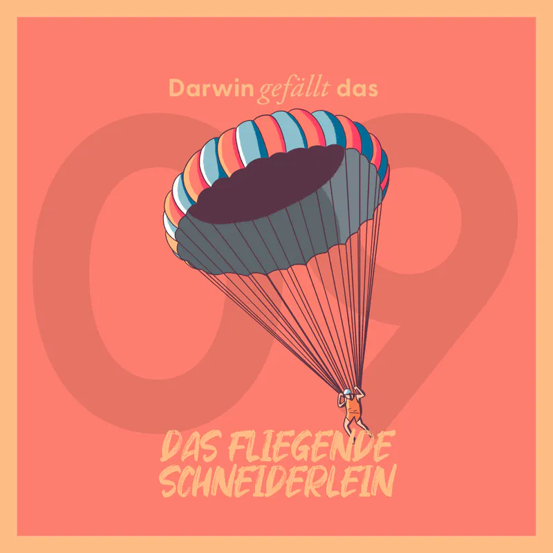 Vorschaubild mit dem Titelbild der Episode 'Das fliegende Schneiderlein'.