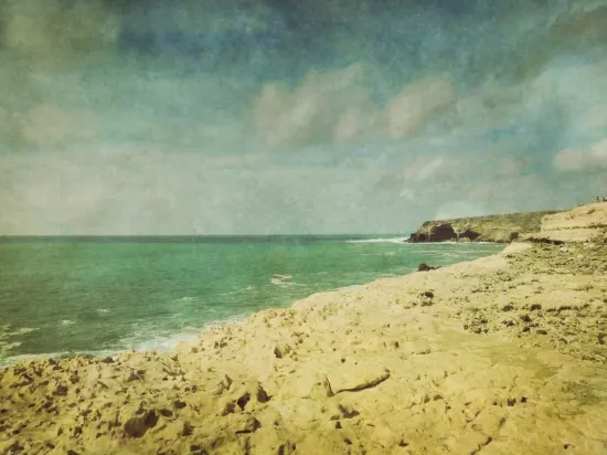 The Sea