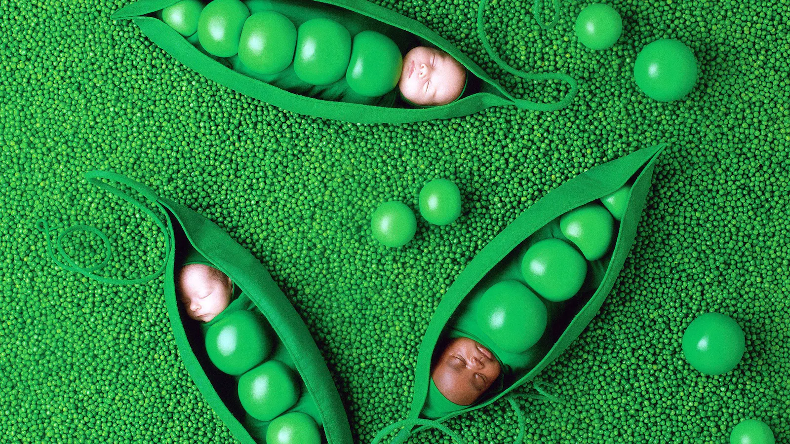 Baby love: 30 years of Anne Geddes | CNN