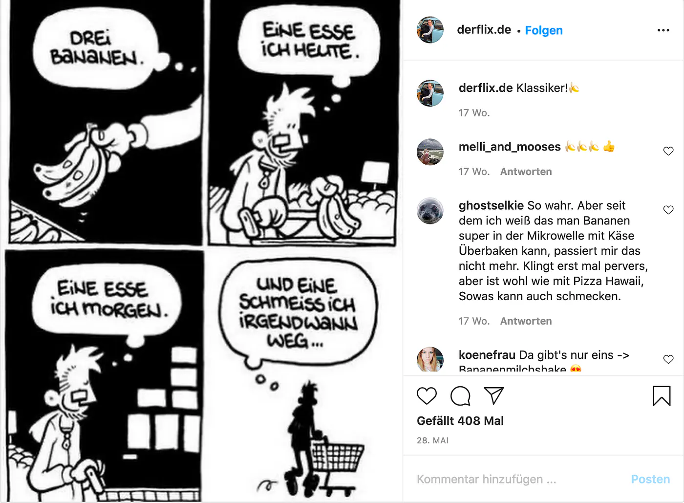 Das Bild zeigt einen Comic, den Flix auf seinem Instagram-Profil veröffentlicht hat.