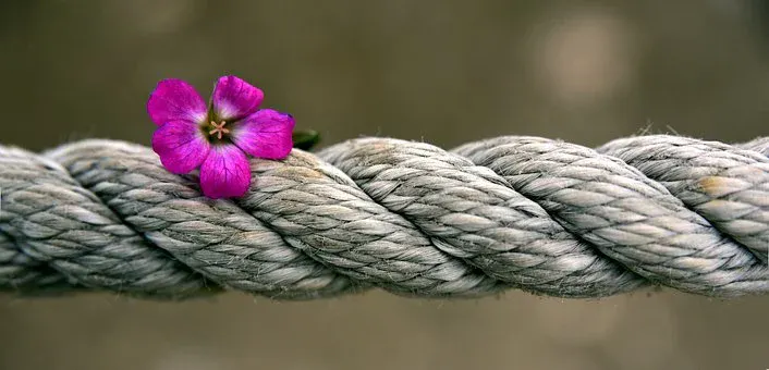 Dieses Bild hat ein leeres Alt-Attribut. Der Dateiname ist rope-3747287__340.webp