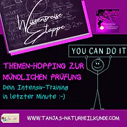 Kopie von Kopie von Wissensreise Etappe (11).png