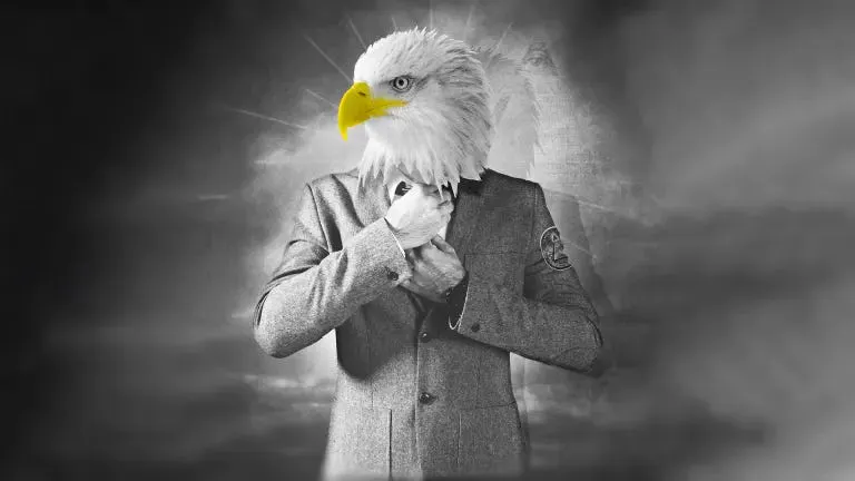Ein Adler im Anzug richtet sich die Krawatte. Auf seinem Anzug ist ein Bild des allsehenden Auges abgebildet, ein bei Verschwörungsideologen beliebtes Piktogramm. Im Hintergrund die Sonne. Das Bild ist schwarz-weiß gehalten, aber der Schnabel ist gelb.
