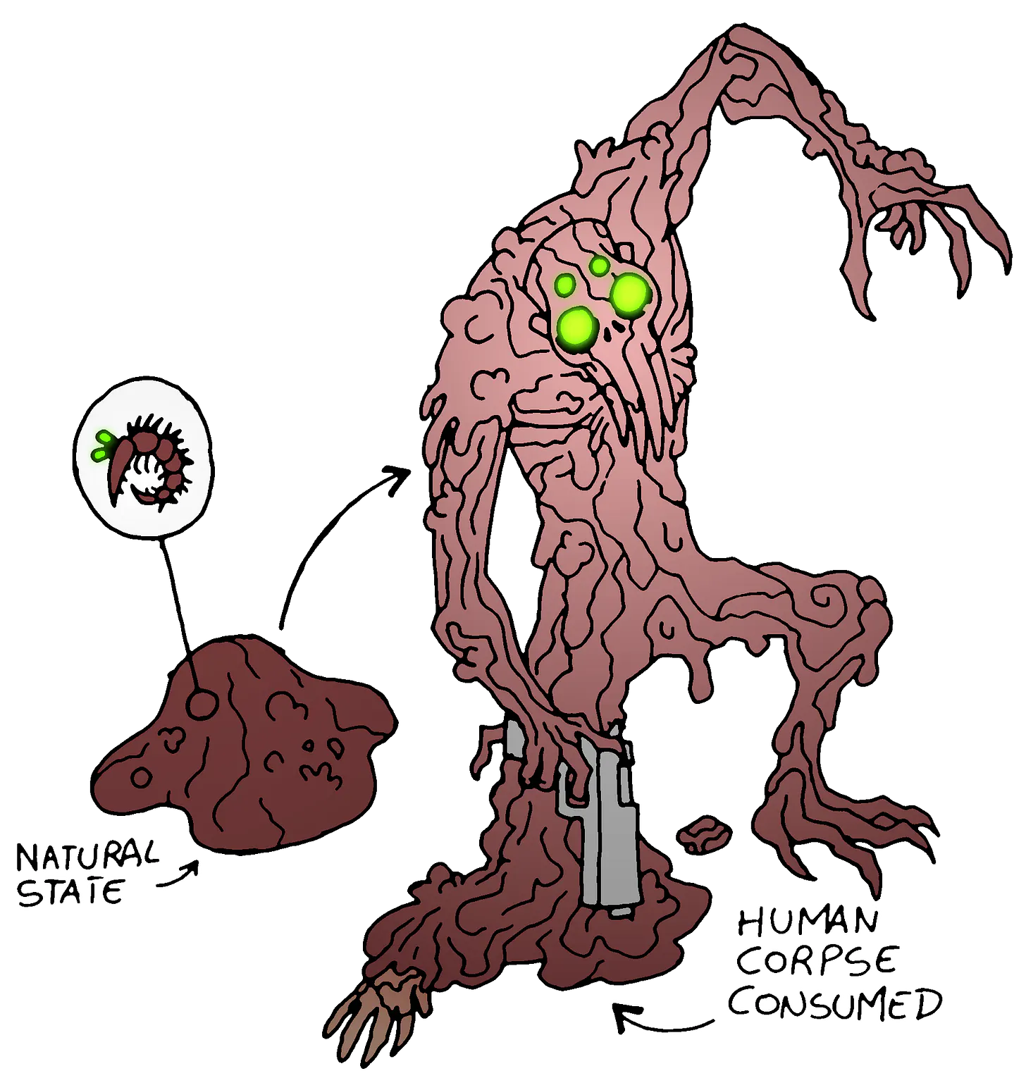 The illustration of a grotesque alien-like creature. On the left, a small blob of fleshy matter is labeled “Natural State,” with an inset showing a wormlike, toothed organism. On the right, the same creature has consumed a human corpse, transforming into a tall, humanoid shape made of writhing pink flesh, with glowing green eyes, elongated claws, and a gun clutched in one hand.