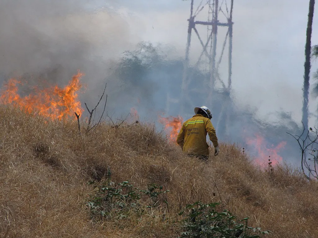 Exterior photo of a firefighter battling a 2008 brush fire in Maui.