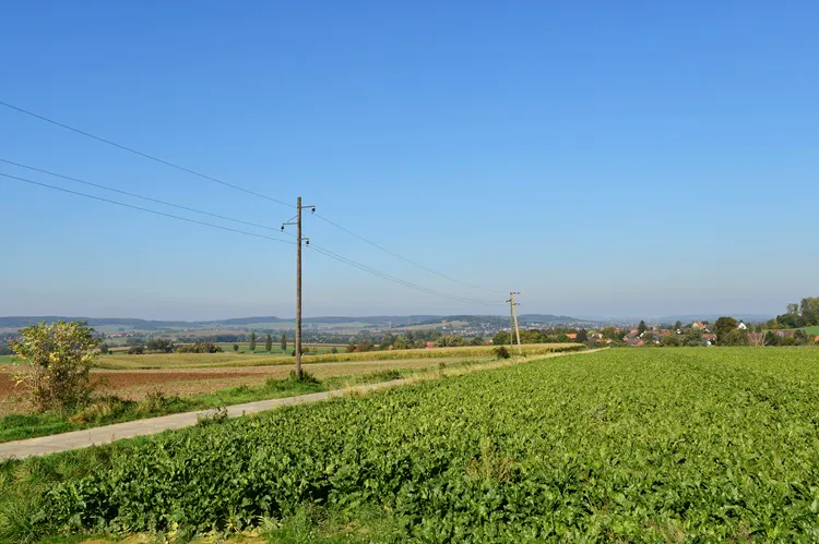 Ein Feldweg. Links daneben stehen Strommasten, rechts ist ein grünes Feld.