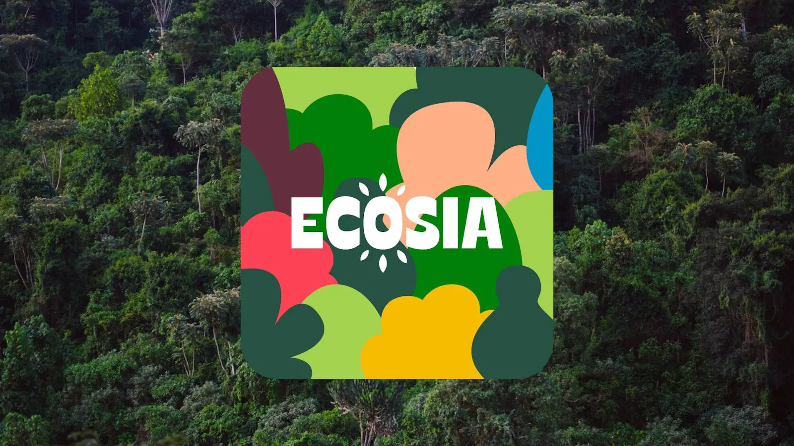 https://yoota.it/wp-content/uploads/2026/03/ecosia.webp